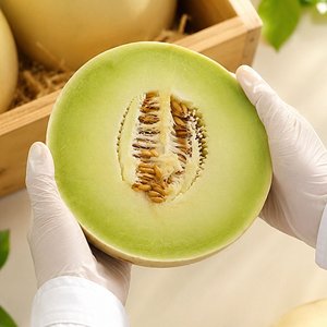 고당도 허니듀 메론 2과 총 3.7kg 캘리포니아 직수입 A급 (14,948원) (무료)