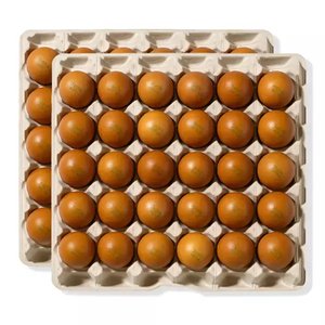 무항생제 구운계란 대란 60구 (15,900원/무료)