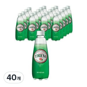 트레비 탄산수 자몽, 300ml, 40개 (16,560원)