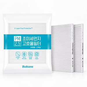 PM 2.5 2개입 차량용 에어컨 필터(9,900원/무배)