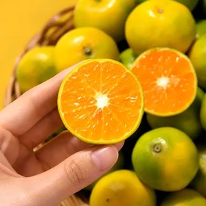 제주 하우스 감귤 3kg (2S-소과) (14,030원/무료)