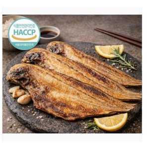 반건조 황금빛 박대 특 10미 왕대사이즈 (30-31CM) 10미(22,710/무배)