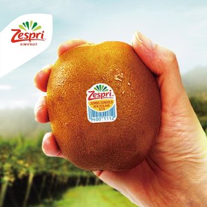 제스프리 썬 골드키위 24입 3.3kg (22,983원) (무료)