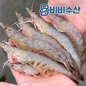 신안 활새우 1kg 40미 내외 (28,400원/네멤무배)