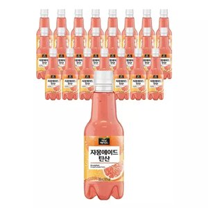 미닛메이드 자몽에이드 탄산 PET 350ml 24개 (티멤11,770원) (무료)