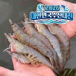 국내산 신안 활새우 1kg 35미 내외 (15,760원) (네멤무료)