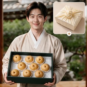 배 추석 명절 선물 과일 세트 9구 (35,800원/무배)