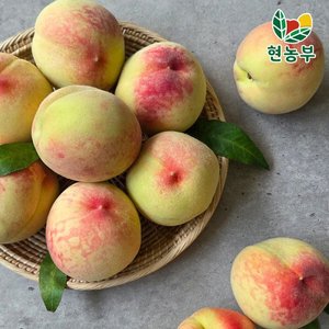 백도 복숭아 딱딱이 중과 4kg 22-24과 (15,730원/무료)