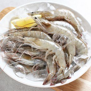 국내산 흰다리 왕특대 새우 1kg 40미내외 생물새우 활새우 매일새벽어획 직접 선별출고 26년산, 1개, 생물새우 1kg (19,700원)