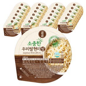 곰곰 소중한 우리쌀 현미밥, 210g, 24개 (21,990원)