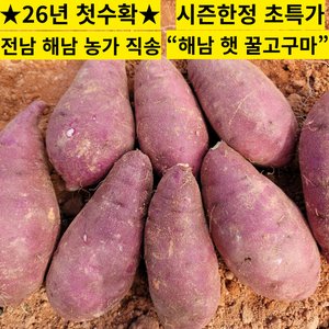 해남 꿀고구마, 3kg (15,300원/무료 배송)