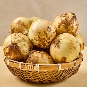 26년 수확 무안 양파 3kg 중대(4,450원/무배)