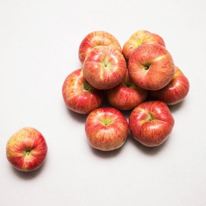 홍로햇사과 가정용 2kg (9,690원/무료)