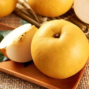 26년 고당도 가정용 햇 배 5kg 소과 20과내외 (12,180원/무료)