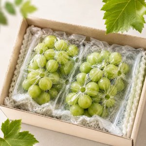 김천 영천 샤인머스켓 2kg (3~5수) (13,230원/무배)