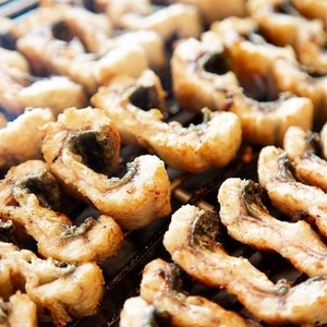 자포니카 민물장어 1kg 손질후 700g/4미 (18,922원) (무료)