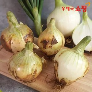 (11번가)26년 무안 황토밭 만생양파 3kg 중상혼합 (3,880원/무료)