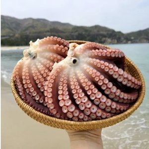 피문어 1kg +1kg (79,800원/무료)