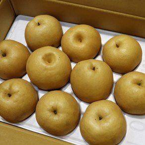 자연진리 나주 양념용 배즙용 15kg 랜덤과, 1개, 가공배 15kg (28,900원)