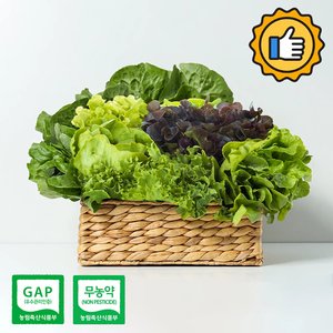 샐러드 채소 800g 무농약 (8,980원/무료)