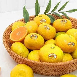 (농할30%+5%) 제주 하우스감귤 가정용 로얄과 귤림원 3kg (16,940원/무료)