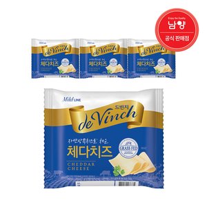 드빈치 자연방목 체다치즈 255g 4개 총60매 (17,900원) (무료)