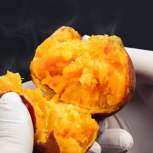 해남 호풍미 당근 호박고구마 5kg 대 (10,480원/무료)