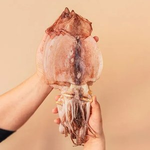 피데기 원양산 반건조 오징어 5미 550g 내외 (13,530원/무료)