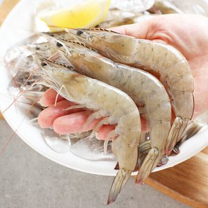 국내산 생물 새우 1kg 35-45미내외 (17,900원/무료)