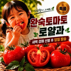 새벽 경매 완숙토마토 로얄과 5kg