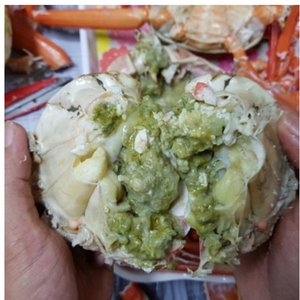 구룡포 자숙 홍게 A급 5kg 26,460원/무배