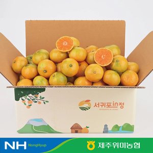 (농할) 제주 하우스감귤 중대과 로얄과 2kg (9,730원~/무료)