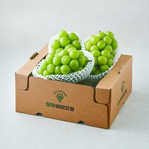 모아바이오팜 당도선별 샤인머스캣 2~4송이, 1개, 2kg (12,800원)
