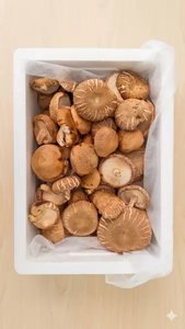 무안 도담 표고버섯 못난이 1kg(6,900원/무료)