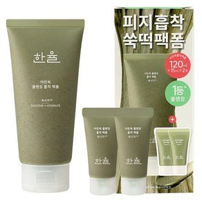 한율 어린쑥 클렌징 흡착 팩폼 120ml + 15ml x 2p 세트, 1세트, 150ml (18,510원)