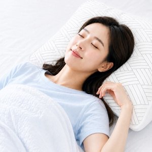냉감 밴딩베개커버 2개 (7,290원 / 무료)