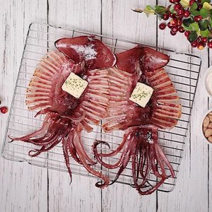 반건조 오징어 5마리(HACCP 인증) (10,570원/무료)