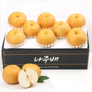 2026년 햇 나주 신고배 대과 5kg(5-8과) (21,799원/무료)