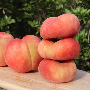 납작복숭아, 흠과 랜덤과 1kg 1박스 (12,900원/무료)