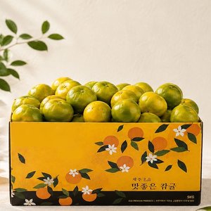 26년 제주 햇 감귤 소과 4.5kg (11,924원/무료)