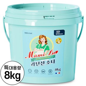 맘스럽 과탄산소다 버킷 초대용량 프리미엄 1등급원료 산소계표백제, 8kg, 1개 (13,900원)