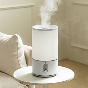 에어보나 초음파 가습기, AB-A70UH, 4L (22,900원/무료)