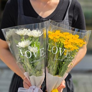 국화 생화 꽃 반단(8,720원/무료)