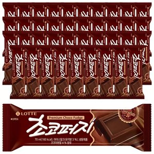 티멤) 롯데웰푸드 초코퍼지, 70ml, 40개 (15,820원/무료)