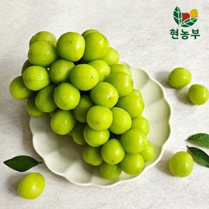 고당도 샤인머스켓 2kg 2-4수 (14,370원/무료)