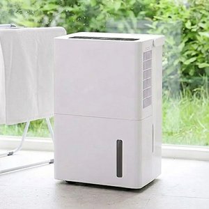 레이나 18L 대용량 파워 제습기 (145,000원/무배)