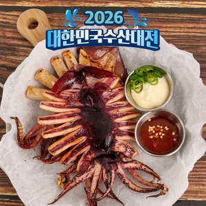 반건조 피데기 마른오징어 소 10미 700g 내외 (14,620원) (네멤무료)