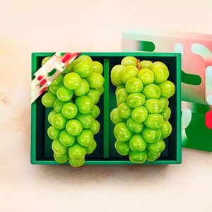 18brix 샤인머스켓 특품 1.6kg 2수 선물포장 (11,370원) (무배)