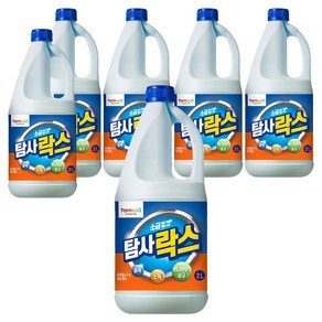 탐사 락스, 2L, 6개 (9,990원)