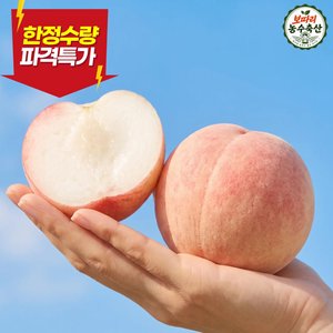 딱딱이 백도 복숭아 대과 4kg (19,900원 / 무배)